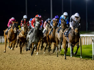 Supporting image for story: Enjoy Fantastic Festive Racing at Wolverhampton Racecourse