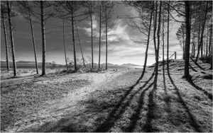 Shadowlands by Rick Greswell