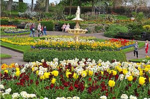 Visitors to the Dingle, in Shrewsbury, enjoy a stroll and admired the spring blooms

