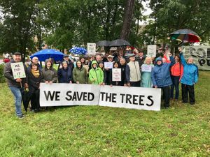 Supporting image for story: Campaigners who saved Walsall trees from being chopped down say they still have a fight on their hands