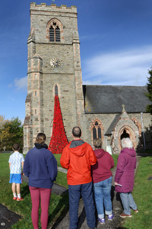 Visitors enjoy the Llanfair Caereinion Poppies. Photo: Phil Blagg Photography