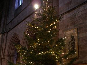 Supporting image for story: Shrewsbury Tree of Light’s record-breaking success