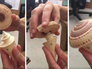 Supporting image for story: Why do these shells fit together? Here’s the answer to nature’s strangely fascinating puzzle