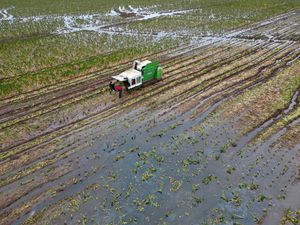Supporting image for story: Climate change leading to food price volatility, campaigners warn
