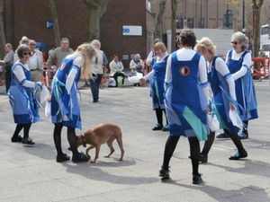 Supporting image for story: Man's dog was 'out of control' in Walsall morris dancers attack