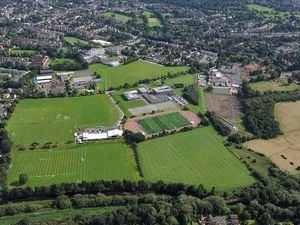 Supporting image for story: Legal move on trees at Wolves site