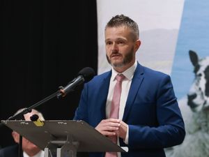 Supporting image for story: Robbie Butler says he will not stand to be next Ulster Unionist leader