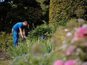 Supporting image for story: Programme of free events during Carers Week in Shropshire