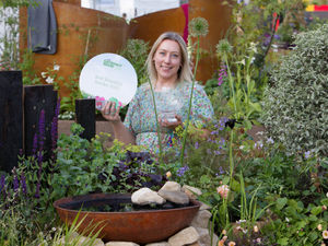 Supporting image for story: Less than two weeks to go to enter a Beautiful Border design for  BBC Gardeners’ World Live