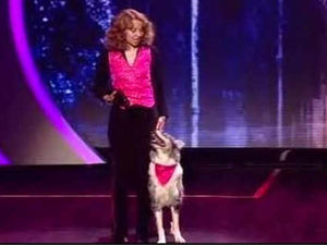 Supporting image for story: Dog dancing finalist cheers for her 'idols'