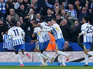 Brighton celebrate