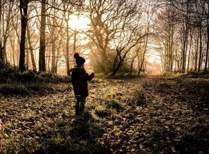Supporting image for story: Shropshire weather: Autumn quickly turning into winter