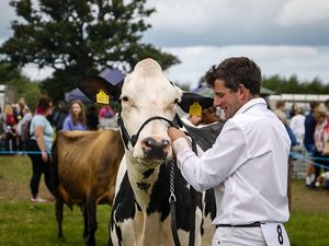 Supporting image for story: One of Shropshire's major agricultural shows prepares to return at a new venue