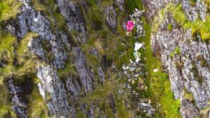 Yr Wydffa Big Clean Up. Photo: British Mountaineering Council