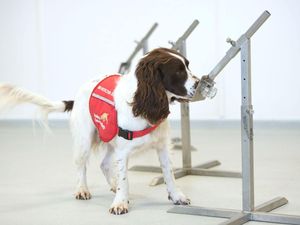 Supporting image for story