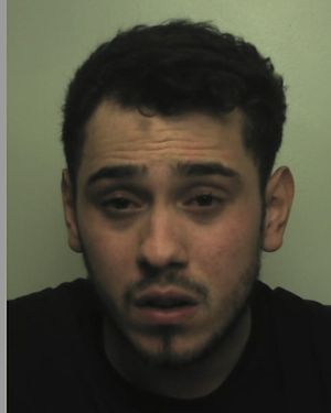 Alex Wootton was jailed for 20 months