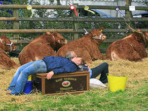 Supporting image for story: Return of Burwarton Show is undoubtedly a red letter day for the county