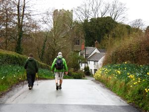 Supporting image for story: Photographer Peter's been out shooting daffodils as we dream of summer