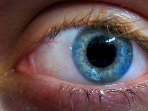 Supporting image for story: A new Google algorithm can predict heart disease just from scanning your eyes