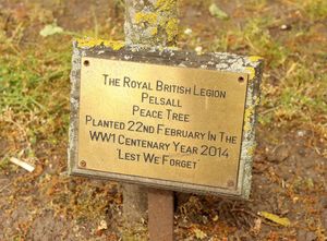Pelsall Centotaph Walsall /damaged tree.