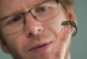 Supporting image for story