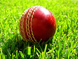 Supporting image for story: Shropshire to face Birmingham Bears in two T20 games