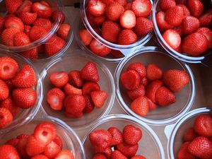 Supporting image for story: Gove’s claim fresh food unaffected in no-deal scenario ‘categorically untrue’