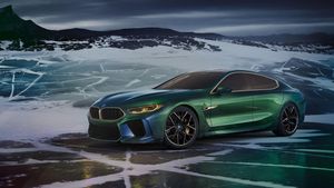 Supporting image for story