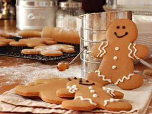 Supporting image for story: Virtual Ginger and Spice Festival programme now live