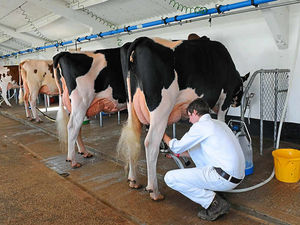 Supporting image for story: Special report: Is it doom for the Shropshire milk industry?