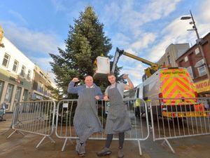 Supporting image for story: Oh Christmas Tree! Dudley's festive celebrations back on track after backlash