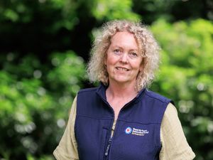 Supporting image for story: 'The RAF Family is never alone' - Shropshire veteran pays tribute to 'The Few' ahead of Battle of Britain Day anniversary