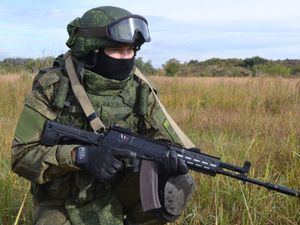 Supporting image for story: Military gamers plan to use farmer's field in south Shropshire for 're-enacting'