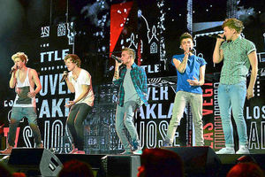 Supporting image for story: One Direction fans battle through snow for Birmingham LG Arena gig