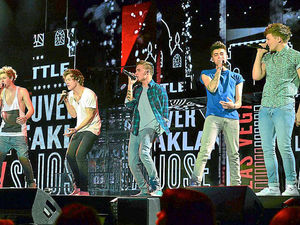 Supporting image for story: One Direction fans battle through snow for Birmingham LG Arena gig