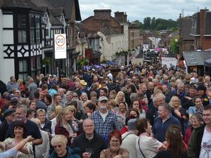 Supporting image for story: Broseley Festival nominated for national award