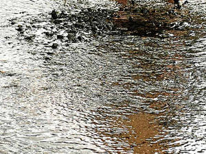 Supporting image for story: Water waste claim as hosepipe ban looms