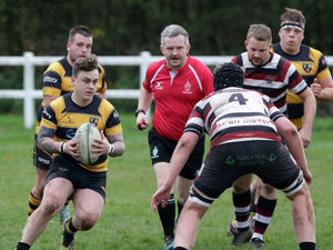 Supporting image for story: Battling Telford Hornets go down at home