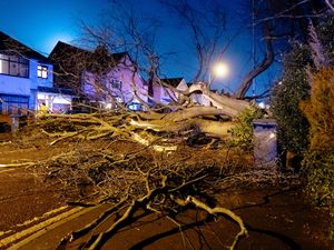 Supporting image for story: Storm Dudley: Wolverhampton road blocked as trees blown over and trains delayed by onset of storm