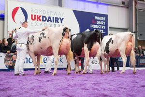 2024 Borderway UK Dairy Expo