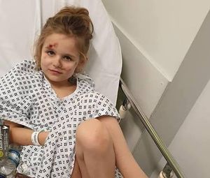 Hollie escaped with cuts and bruises 