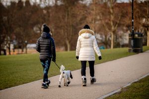 Boots and woolly hats are the fashion in the Quarry in Shrewsbury this week