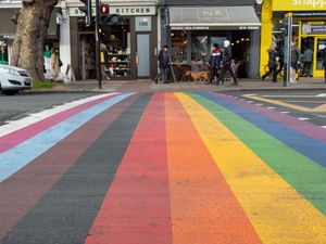 Supporting image for story: Life expectancy lower for people who identify as LGB+, data suggests