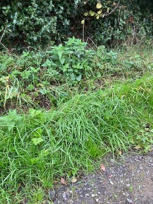 Blocked ditches has caused flooding. Picture: Chris Naylor