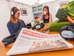 Supporting image for story: Audio experience at show