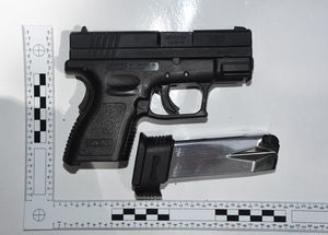 Gun from first importation