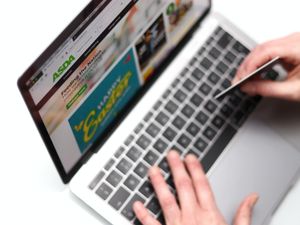 Supporting image for story: Online shoppers hit new high but little sign of panic buying