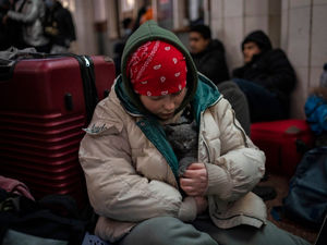 Supporting image for story: Shrewsbury cat charity calling for donations to help pets caught up in Ukraine war