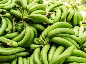 Supporting image for story: Banana supplies to return to normal after shoppers complain of empty shelves