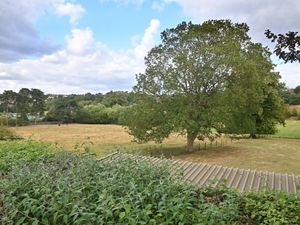 Supporting image for story: 'The threat is real and present' - Campaign to save Stourbridge meadowland from development is dealt a new blow